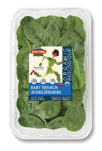 1lb Baby Spinach Clamshell Organic