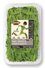 10oz Baby Arugula Clamshell Organic