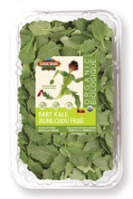 10oz Baby Kale Clamshell Organic