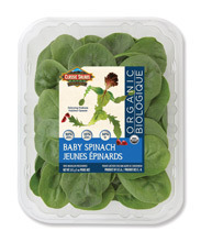 5oz Baby Spinach Clamshell Organic
