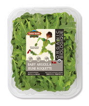 5oz Baby Arugula Clamshell Organic