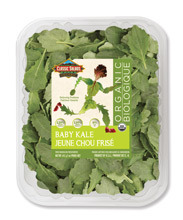 5oz Baby Kale Clamshell Organic