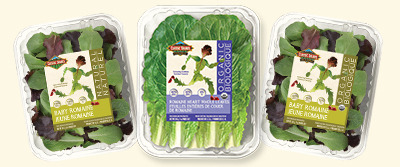 Romaine Salads & Whole Leaf Romaine Photo